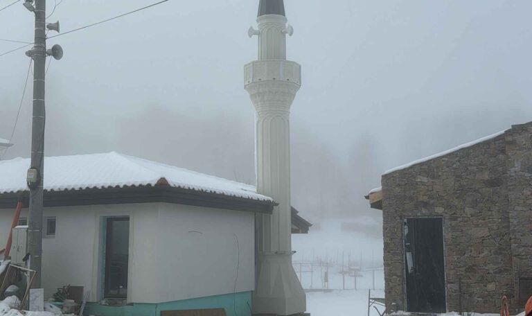 Bulgaristan Maden Borinovo Koyu Cami 1