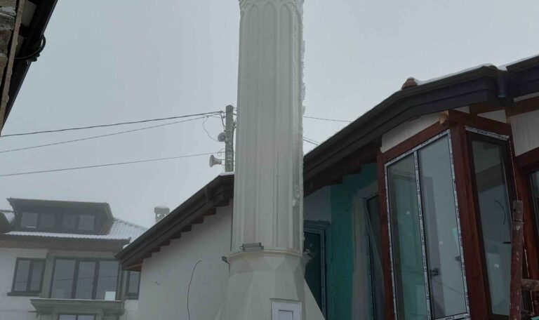 Bulgaristan Maden Borinovo Koyu Cami 10