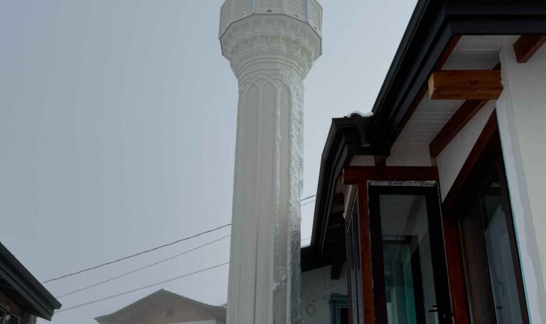 Bulgaristan Maden Borinovo Koyu Cami 12