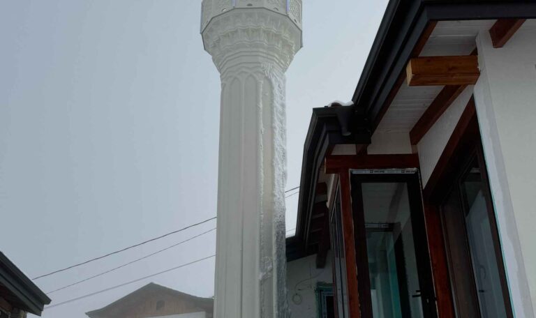 Bulgaristan Maden Borinovo Koyu Cami 13