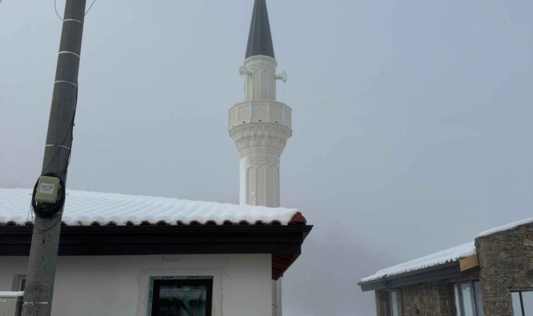 Bulgaristan Maden Borinovo Koyu Cami 14