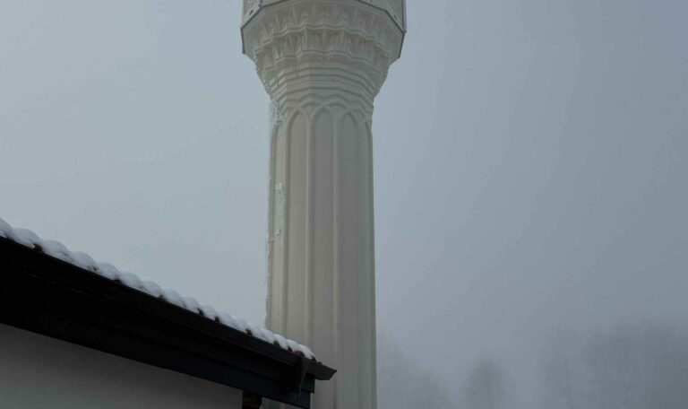 Bulgaristan Maden Borinovo Koyu Cami 8