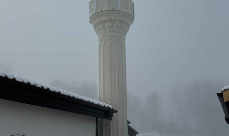 Bulgaristan Maden Borinovo Koyu Cami 9